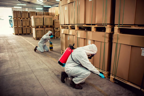 Best Pest Removal Services  in Gumlog, GA