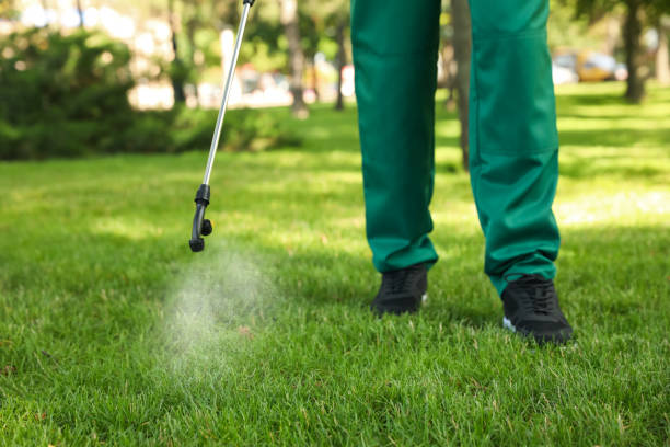 Best Affordable Pest Control Services  in Gumlog, GA
