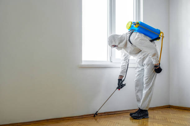 Trusted Gumlog, GA Pest Control Experts