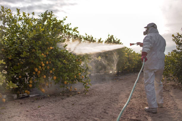 Best Emergency Pest Control  in Gumlog, GA