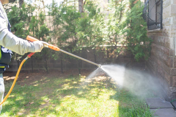 Best Bed Bug Extermination  in Gumlog, GA