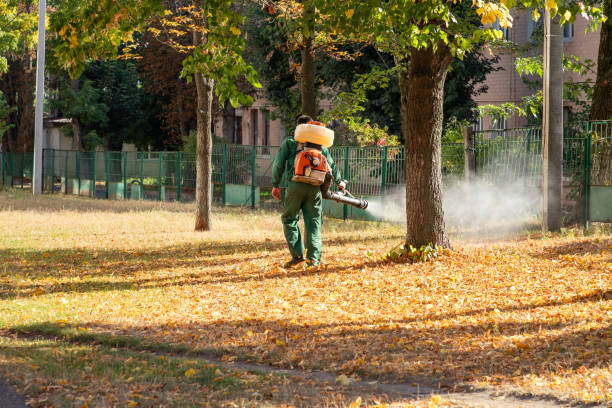 Best Pest Prevention Services  in Gumlog, GA