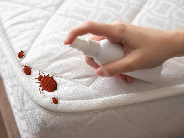 Best Exterminator Services  in Gumlog, GA