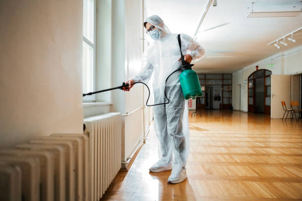 Best Rat Extermination Near Me  in Gumlog, GA